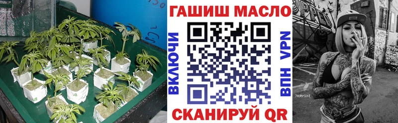 ТГК концентрат  Дербент 