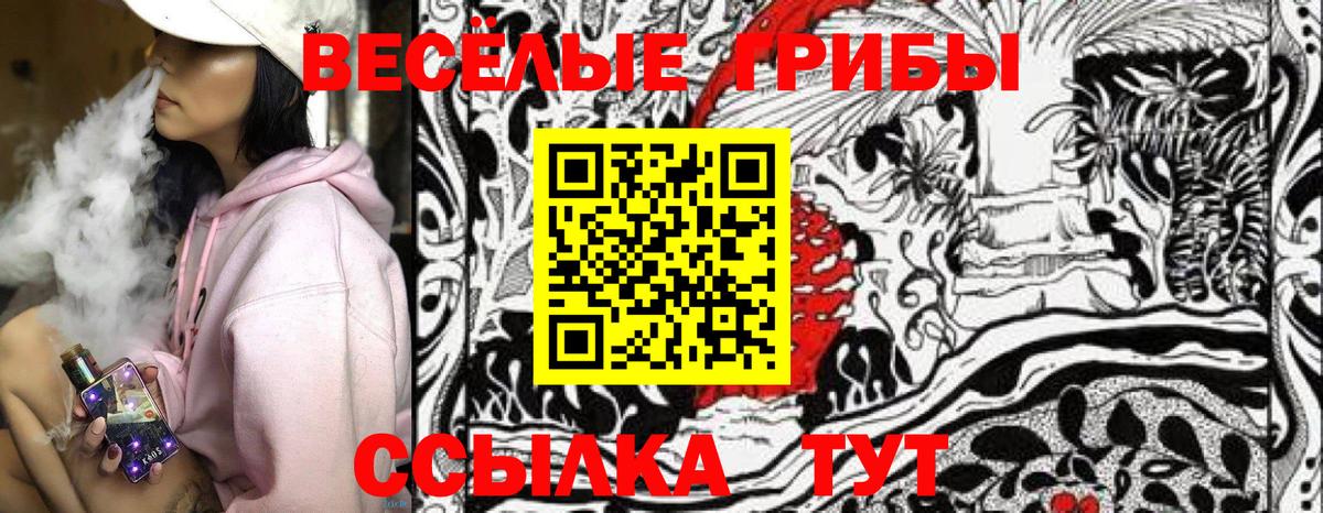 Псилоцибиновые грибы Psilocybine cubensis Дербент